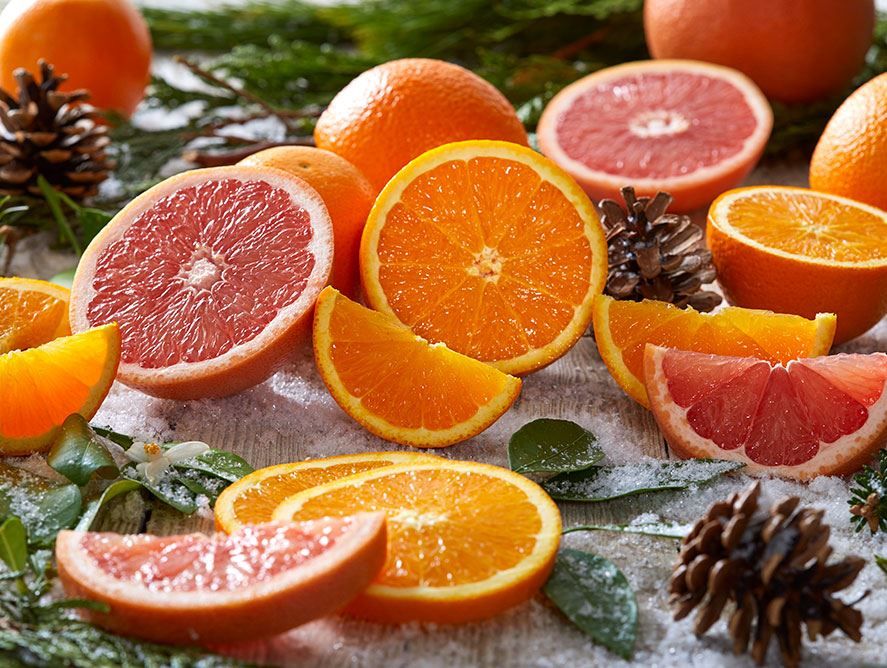 Navel Oranges and Ruby Red Grapefruit - Hale Groves, shipping fresh Florida citr