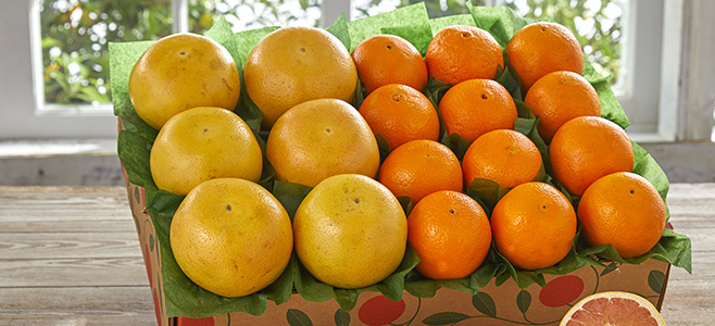 impact of citrus fruit