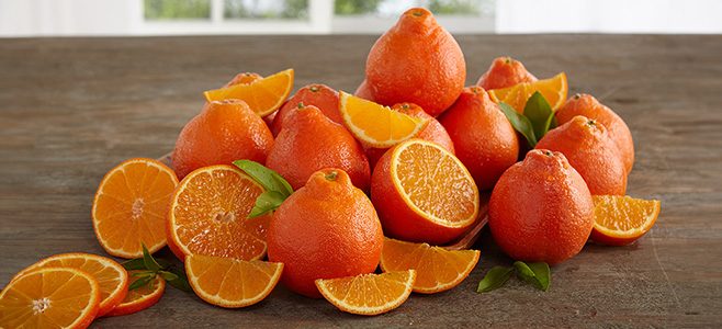 when are honeybells in season? - honeybell season - hale groves