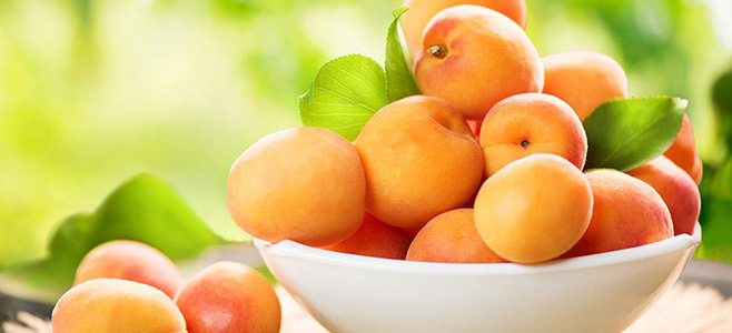 buy apricots