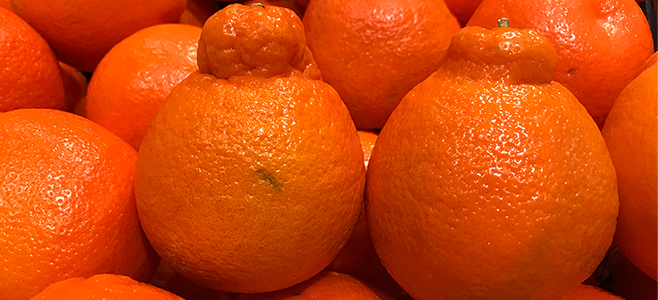 honeybells