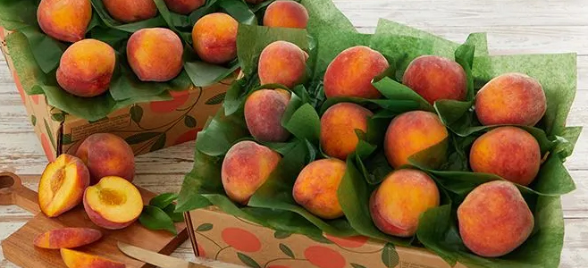 buy florida peaches