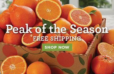 Peak of the Season Plan