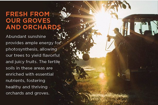 Farm-Fresh Citrus & Fruit