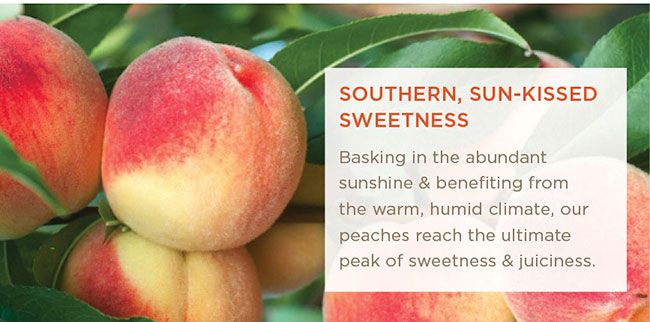 Farm-fresh Georgia Peaches