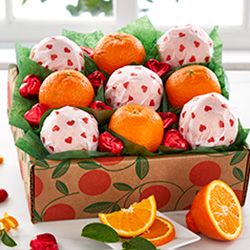 Gifts Under $50 category image