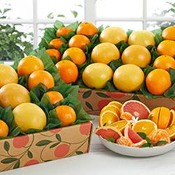 Best Sellers category image