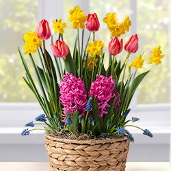 Gifts That Bloom category image