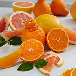 Fresh Fruit category image