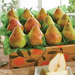 Fresh Fruit category image