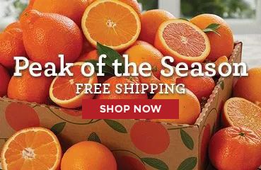 Peak of the Season Plan