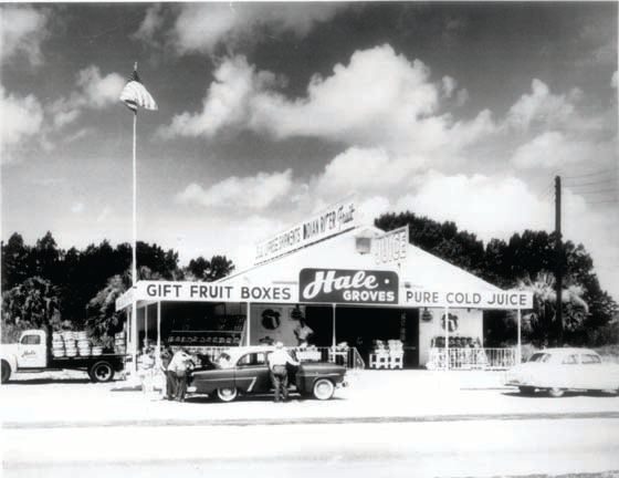 Fresh Florida citrus since 1947
