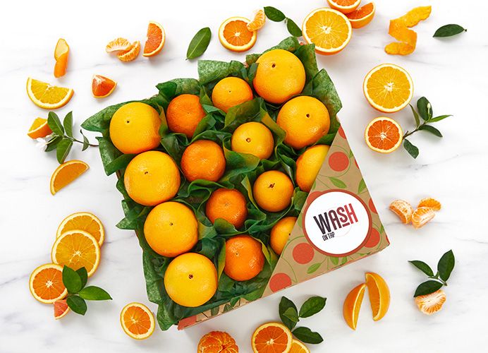 Business Gift - Corporate Fruit Basket 