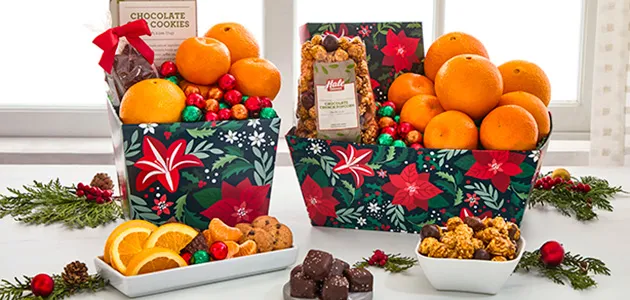 Florida Honeybells - Oranges - Ruby Red Grapefruit & Citrus Fruit