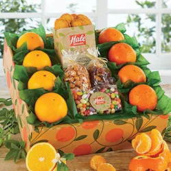 Spring Gifts category image