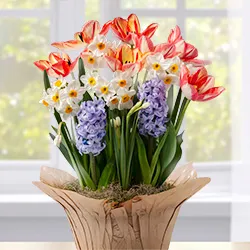 Gifts That Bloom category image