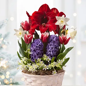 Gifts That Bloom category image