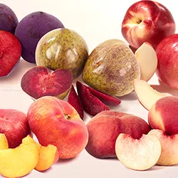 Summer Fruit Gifts category image