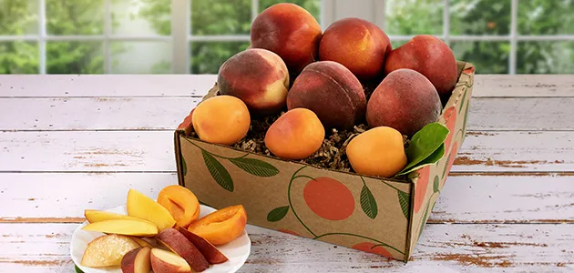 Summer Fruit Gifts
