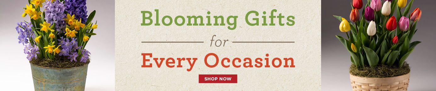 Free $20 Gift Card