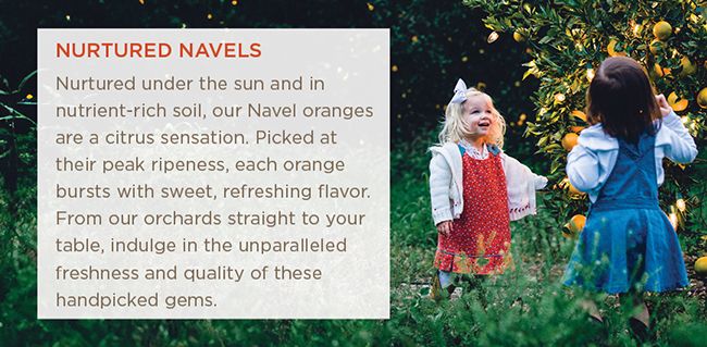 Farm-fresh Navel Oranges Delivery 