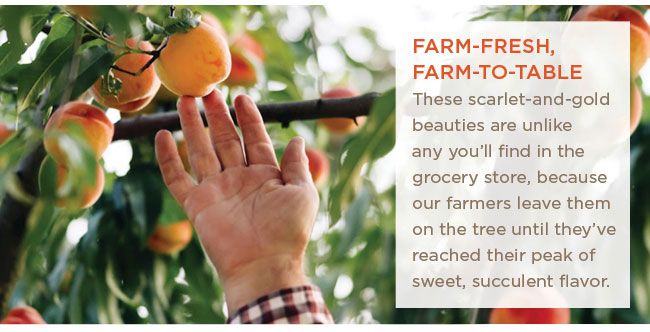 Farm-fresh Nectarines