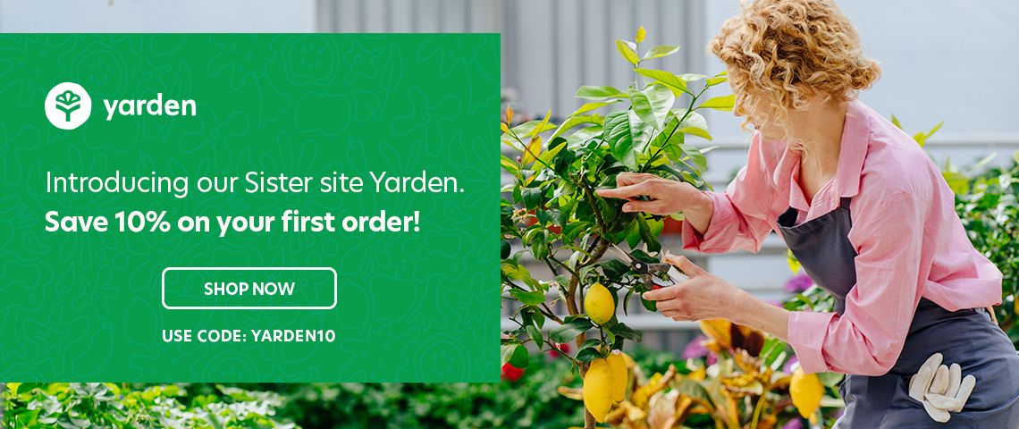 Plants and Trees for Sale