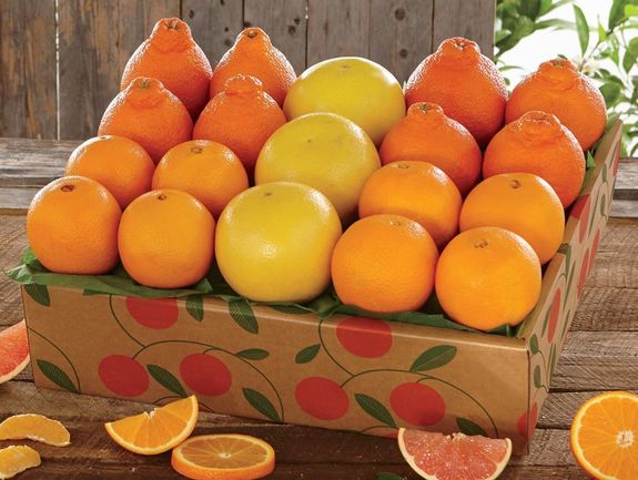 Winter Flamingo - with Honeybells - Hale Groves - Send Fruit