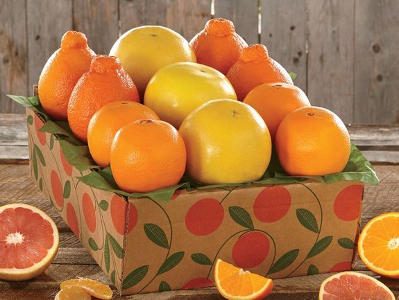 citrus タペストリーセット citrus タペストリーセット