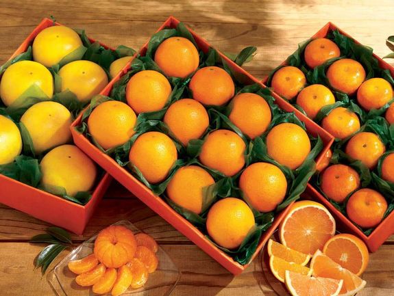 Grove Favorites Trio - Oranges, Red Grapefruit, Tangerines. Approx. 27 lbs.