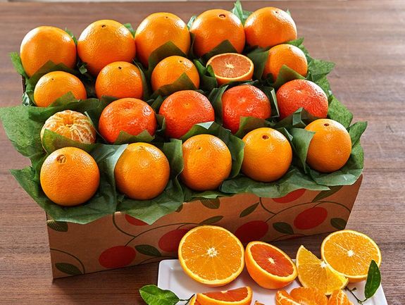 Amazing Oranges!