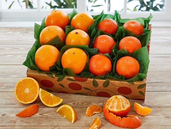 citrus 特典　11点セット Citrus Variety Packs