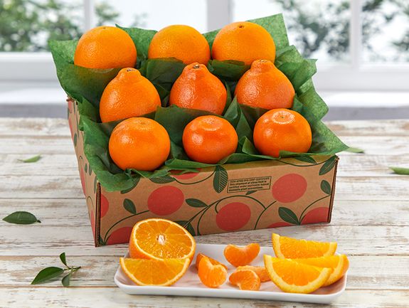 ✨美品✨豪華✨ベルトファン✨×11個フルセット✨ ゴゴスマで紹介されました】Excitech 腰掛け扇風機 ベルトファン 携帯