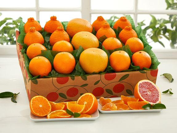 Winter Flamingo - with Golden Honeybells - Hale Groves