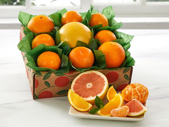 Simply Spectacular - Orange Sampler - Hale Groves