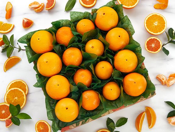 柑羅 Orange Extravaganza - Florida Oranges - Hale Groves