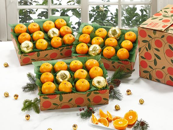 3 Trays of Holiday Golds