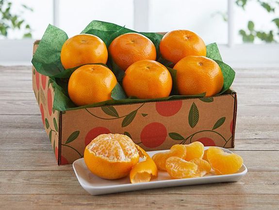 Tangerine Sampler Tray