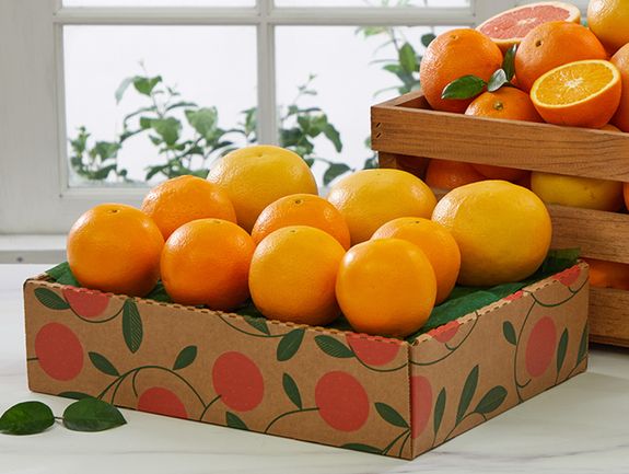   CITRUS GROVE 6枚セット 約27cm Citrus Supply Club Six-pack Mixed Oranges and Grapefruit