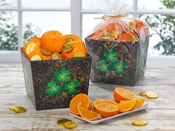 Pot of Gold Gift Box with Gold Nuggets