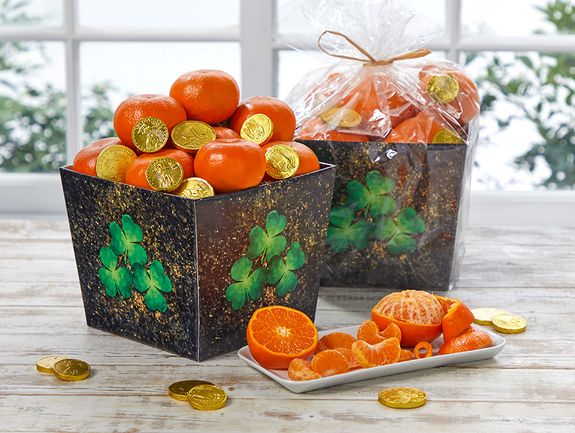 florida lasting impressions gift basket