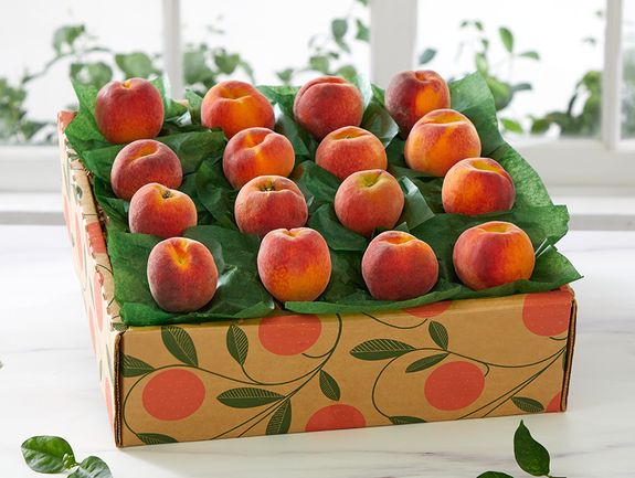 16 Florida Peaches