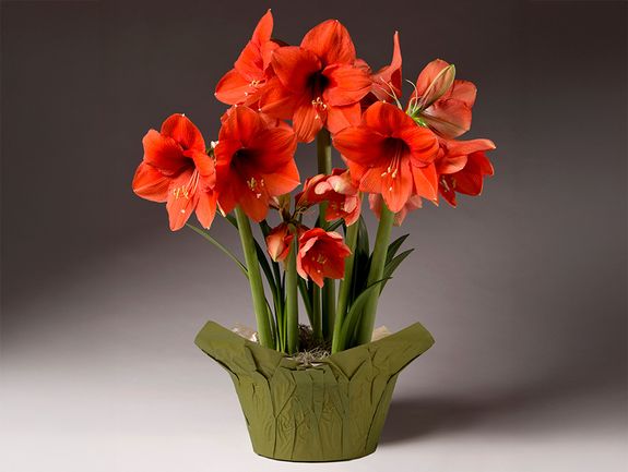 Gold Metal Amaryllis Trio