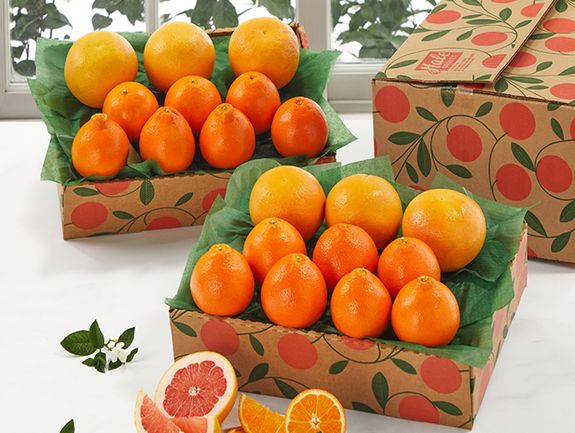 Buy 1 Get 1 Free - Hale Honeybells & Regent Ruby Red Grapefruit - Hale Groves - Send Fruit