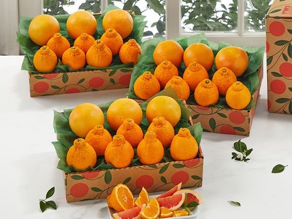 3 Trays - Golden Honeybells & Ruby Red Grapefruit