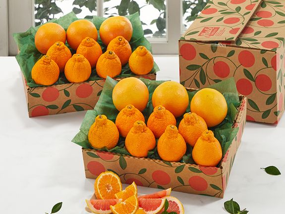 2 Trays - Golden Honeybells & Ruby Red Grapefruit