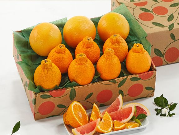 1 Tray - Golden Honeybells & Ruby Red Grapefruit