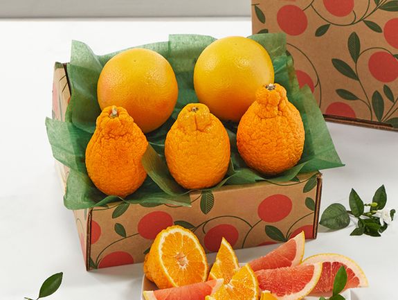 Sampler Tray - Golden Honeybells and Ruby Red Grapefruit