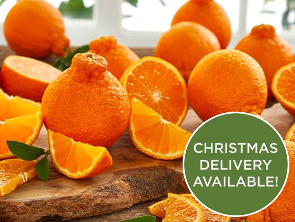 Buy Classic Citrus Gift Boxes Online