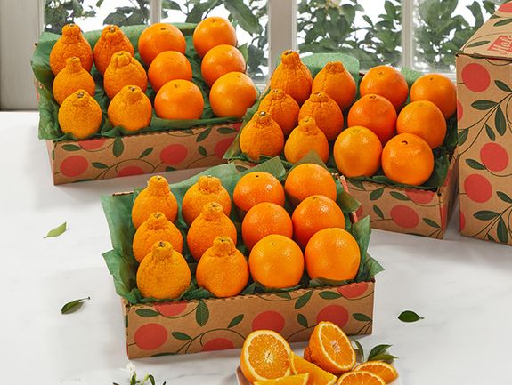 3 Trays - Golden Honeybells and Navel Oranges